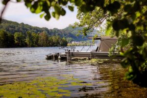Karperboot op de randmeren - Visvakantie Nederland